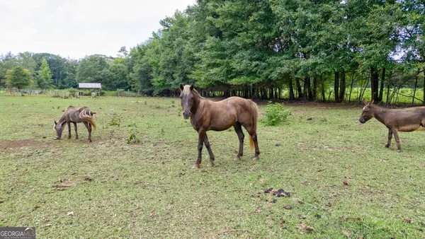 a view of a yard with table and chairs