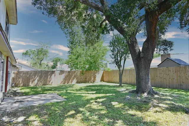 a backyard of a house with lots of plants and large tree