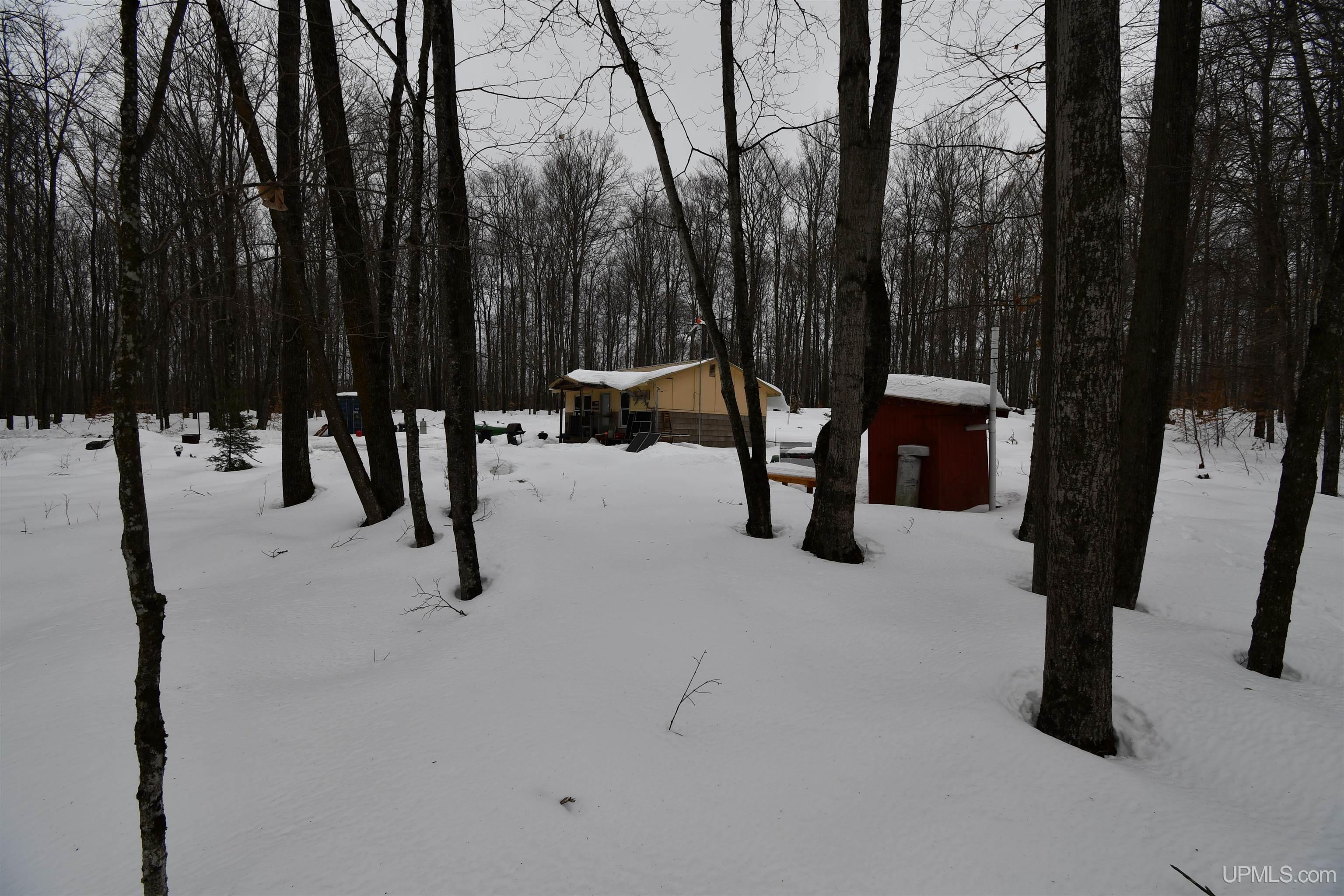Tbd County Line Road Foster City, MI 49834 - Photo 4 of 56
