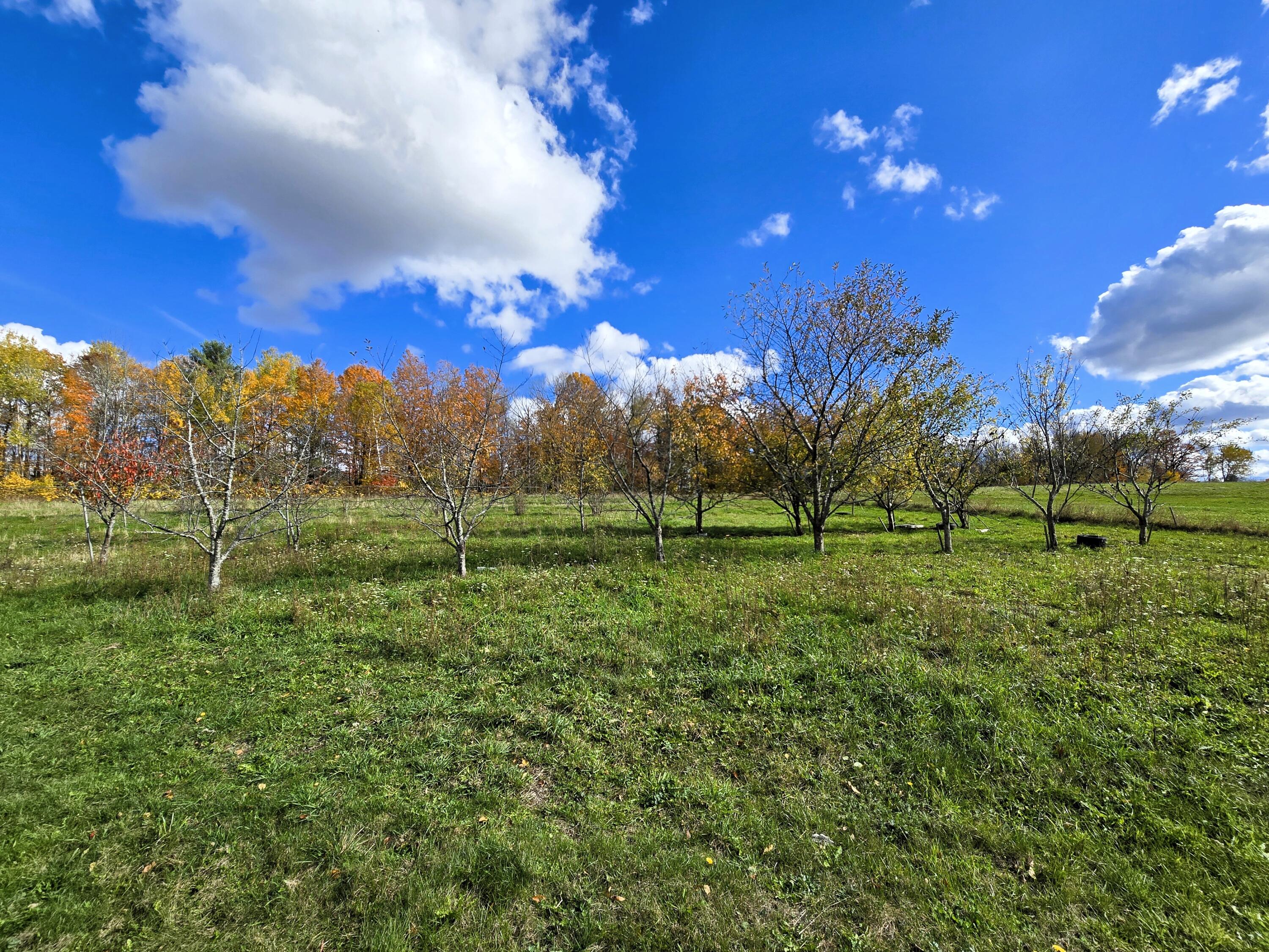 136 Palmer Road Thorndike, ME 04986 - Photo 80 of 85 Fruit Trees