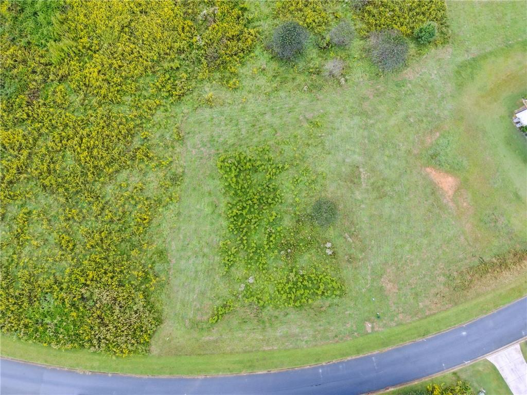 815 Sweetgrass Court Demorest, GA 30535 - Photo 4 of 6 a view of a small yard