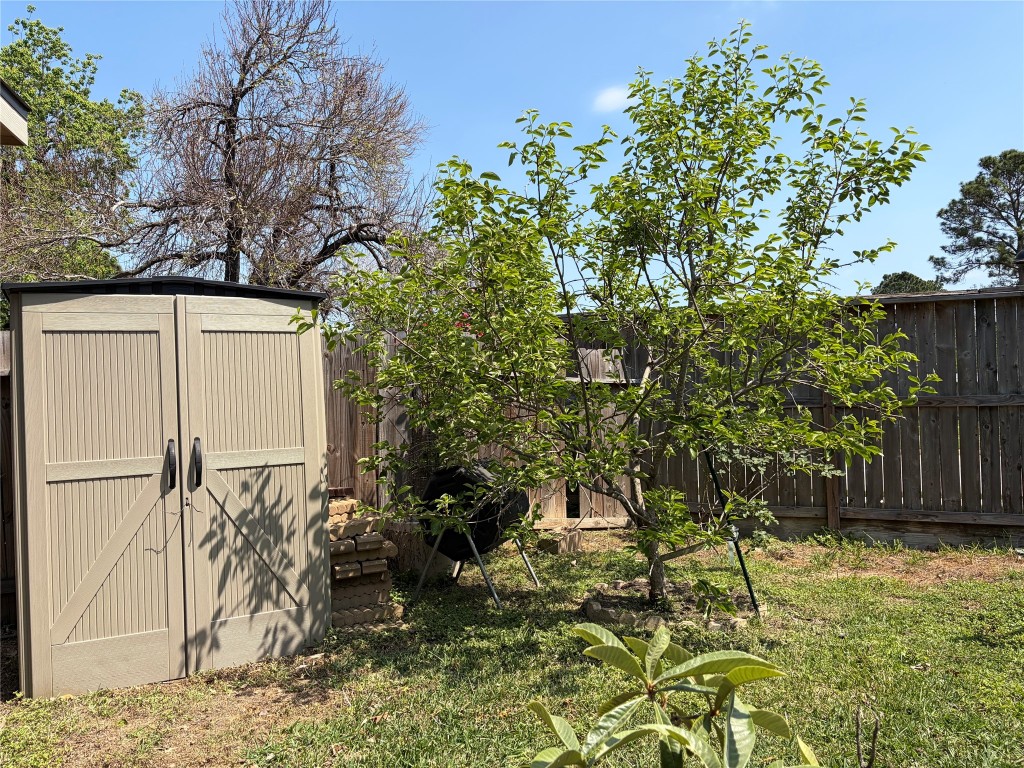 903 Northgate Springs Drive Spring, TX 77373 - Photo 29 of 30 Mature Fuyu persimmon tree is loaded with fruit Fall/Winter!
