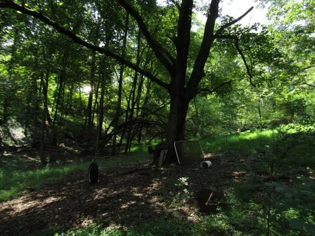 a view of backyard with green space