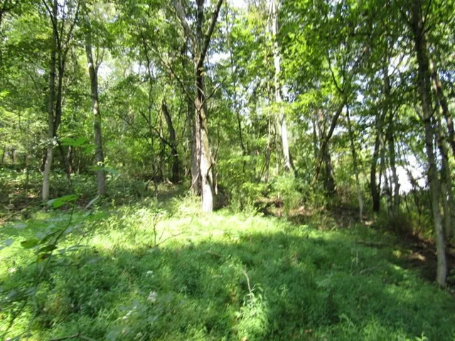 a backyard of a house with lots of green space
