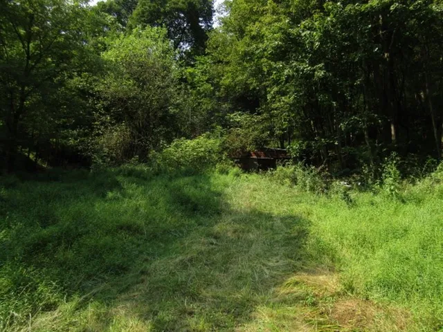 a view of backyard with green space