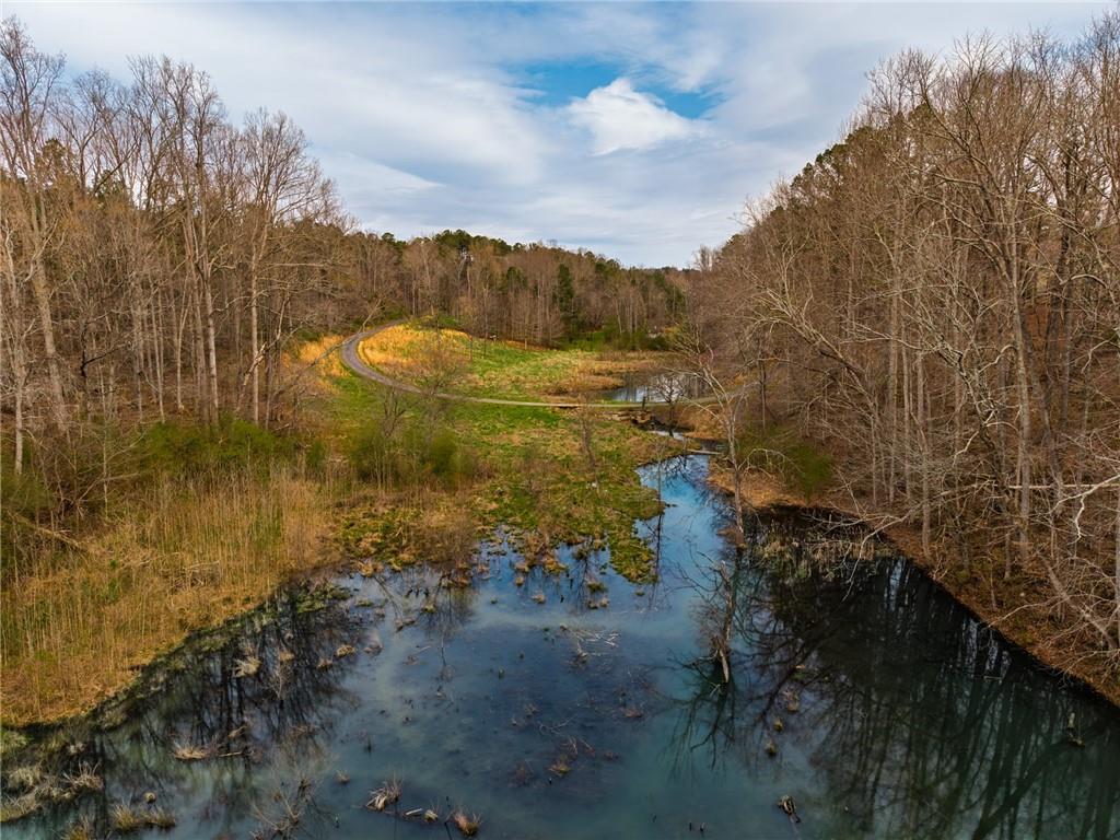 723 Sulphur Springs Road Southeast Fairmount, GA 30139 - Photo 48 of 54