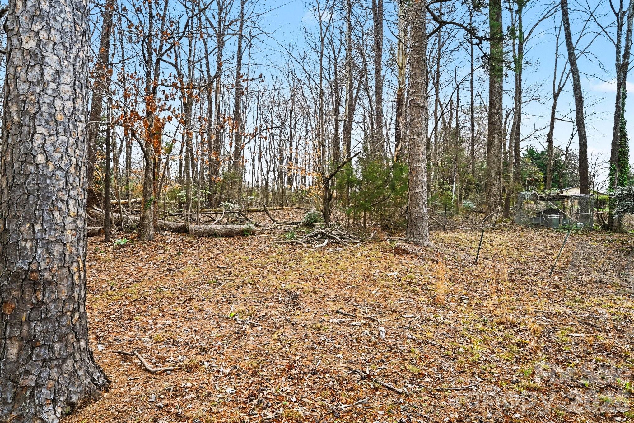 2915 Old Stage Road Gastonia, NC 28052 - Photo 41 of 42 a view of outdoor space with trees