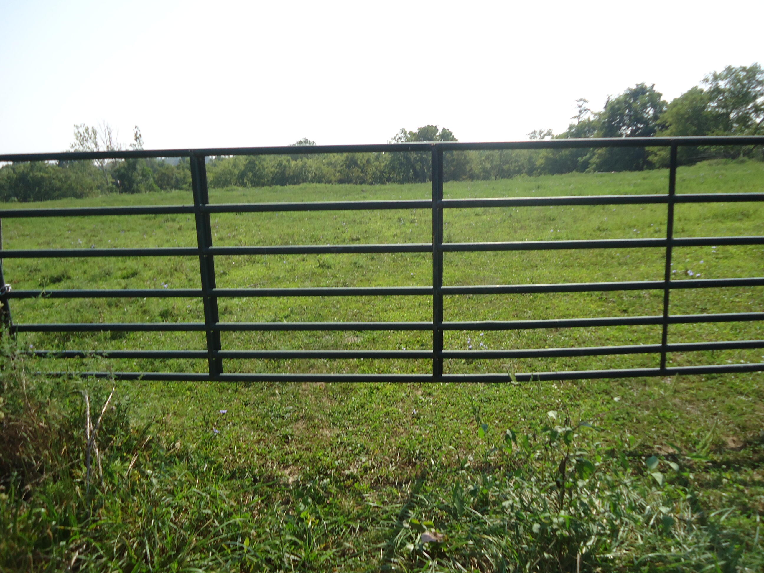 1 Sugar Creek Road Lancaster, KY 40444 - Photo 1 of 36 DSC01859