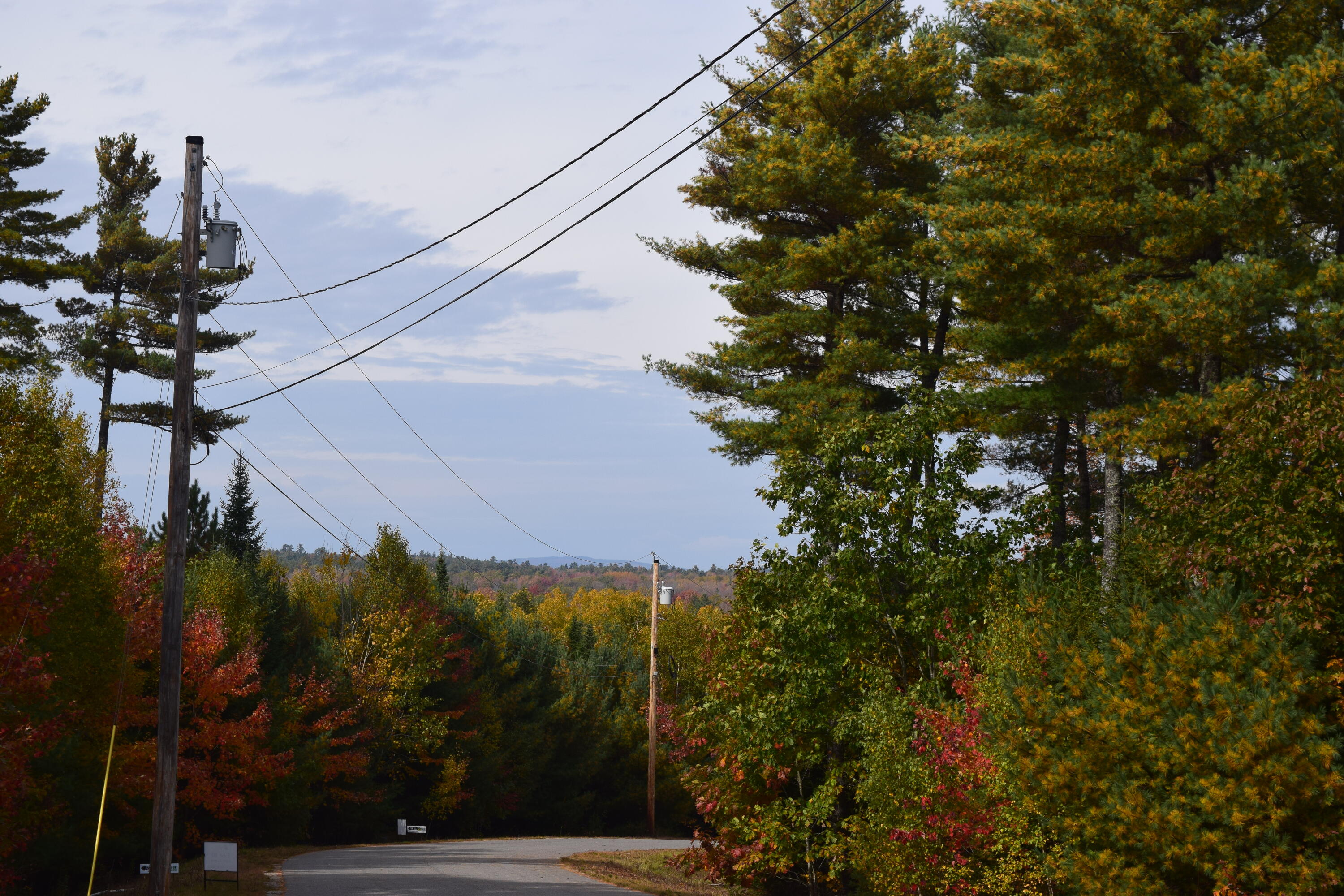 Lot 11 Surry Ridge Surry, ME 04684 - Photo 11 of 14 DSC_0536