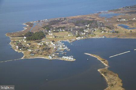 9030 Deal Island Road Deal Island, MD 21821 - Photo 7 of 9 Gallery Image 7