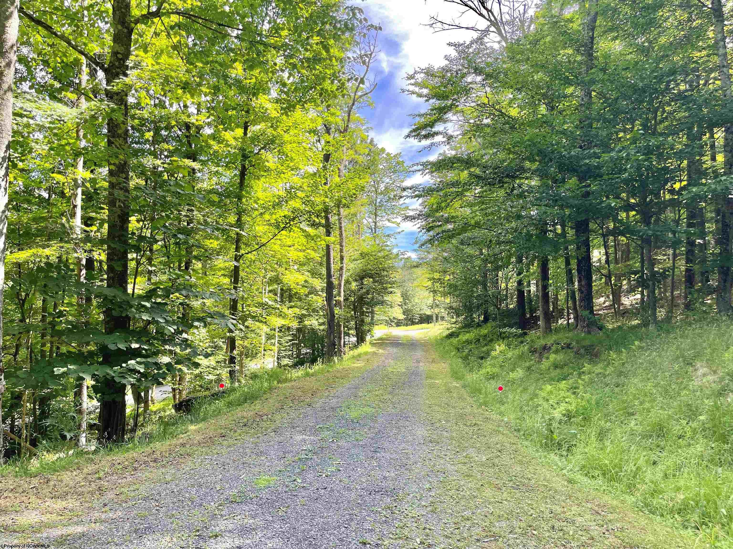 958 Ridge Road Davis, WV 26260 - Photo 20 of 20 Gallery Image 20