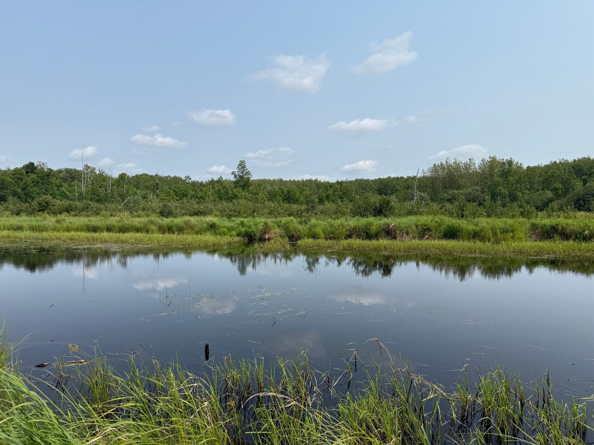 3854 Rasmussen Road Wright, MN 55798 - Photo 12 of 39 Gallery Image 12
