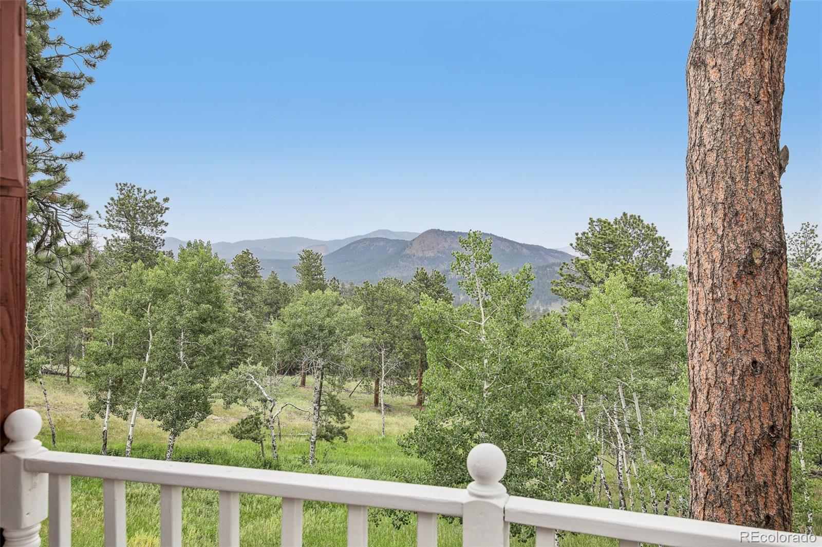 278 Overlook Drive Bailey, CO 80421 - Photo 20 of 48
