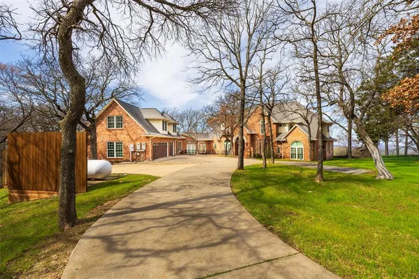 a street view with large trees