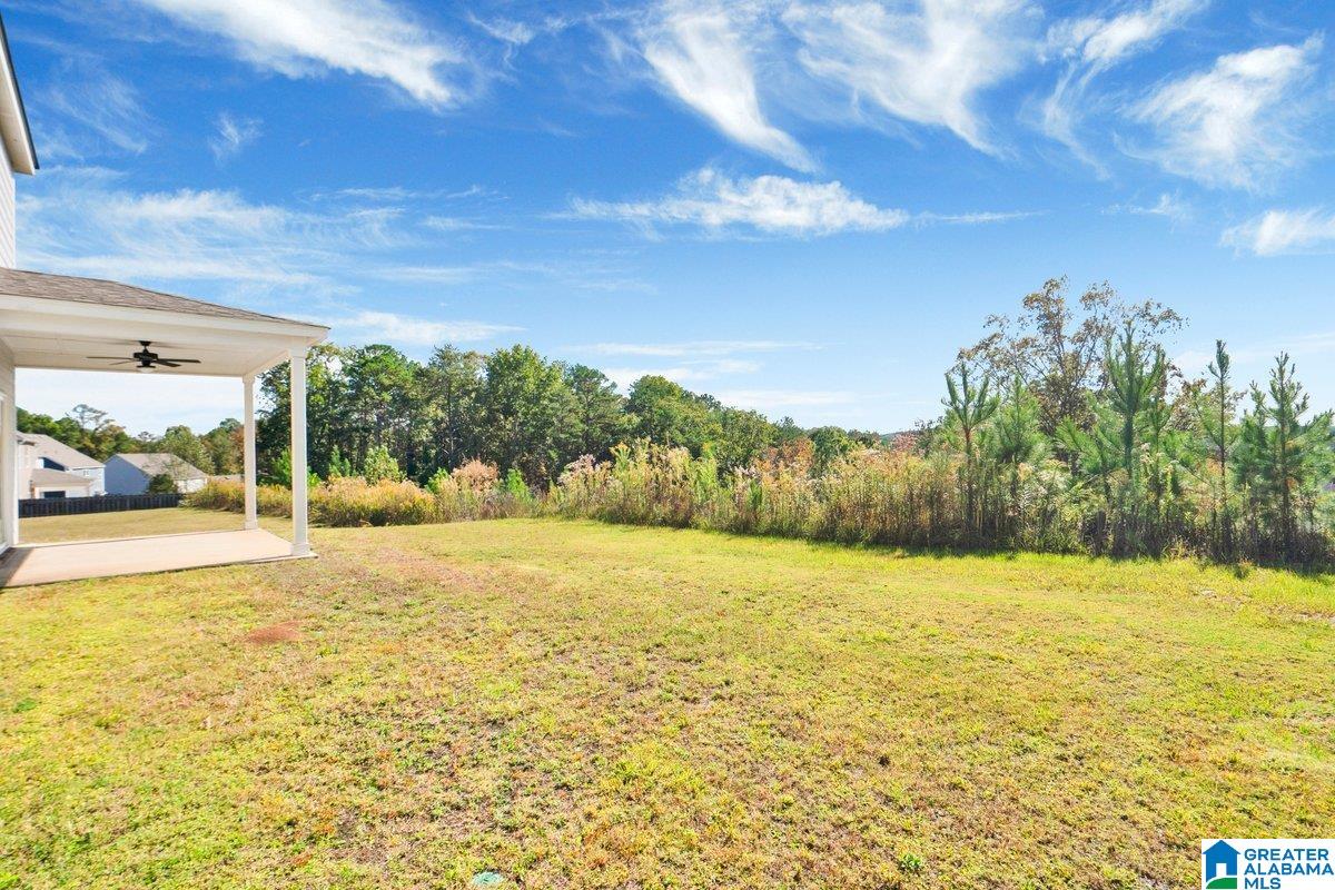 1179 Merion Drive Calera, AL 35040 - Photo 39 of 39