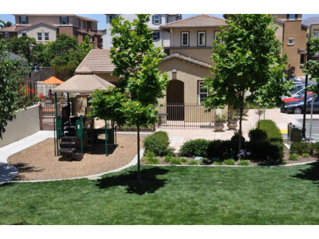 1797 Snell Place Milpitas, CA 95035 - Photo 23 of 25 a view of a house with a yard and potted plants