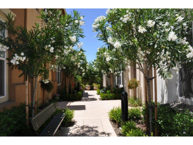 1797 Snell Place Milpitas, CA 95035 - Photo 3 of 25 a view of a yard with plants and trees