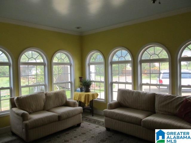 347 Pine Mountain Road Remlap, AL 35133 - Photo 5 of 49