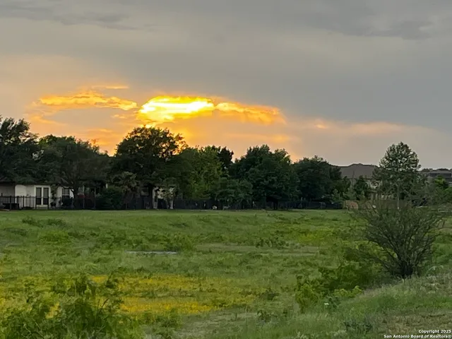 a view of a grassy field with trees in the background