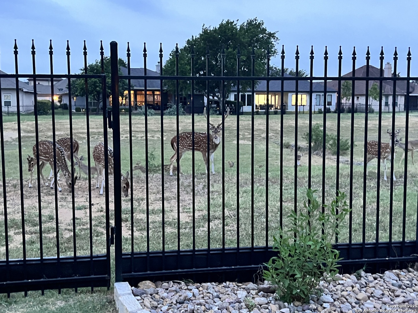 7938 Cibolo Boerne, TX 78015 - Photo 36 of 37 a view of a balcony