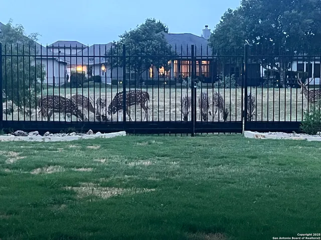a front view of a house having yard