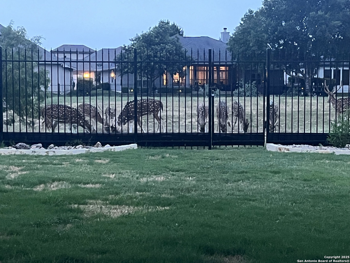 7938 Cibolo Boerne, TX 78015 - Photo 37 of 37 a front view of a house having yard