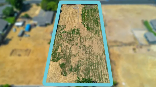 a view of swimming pool from a balcony