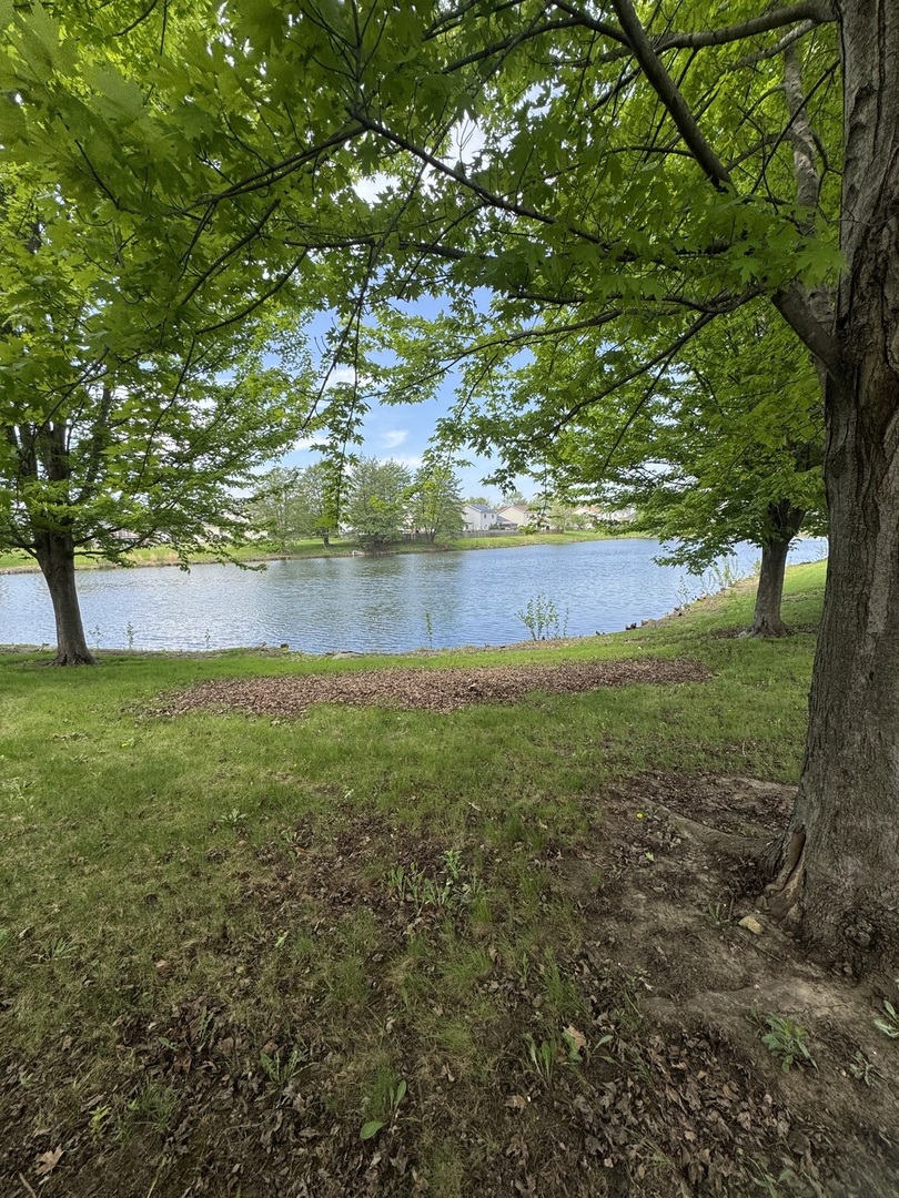 1716 William Drive Romeoville, IL 60446 - Photo 18 of 18 a view of yard from a lake view