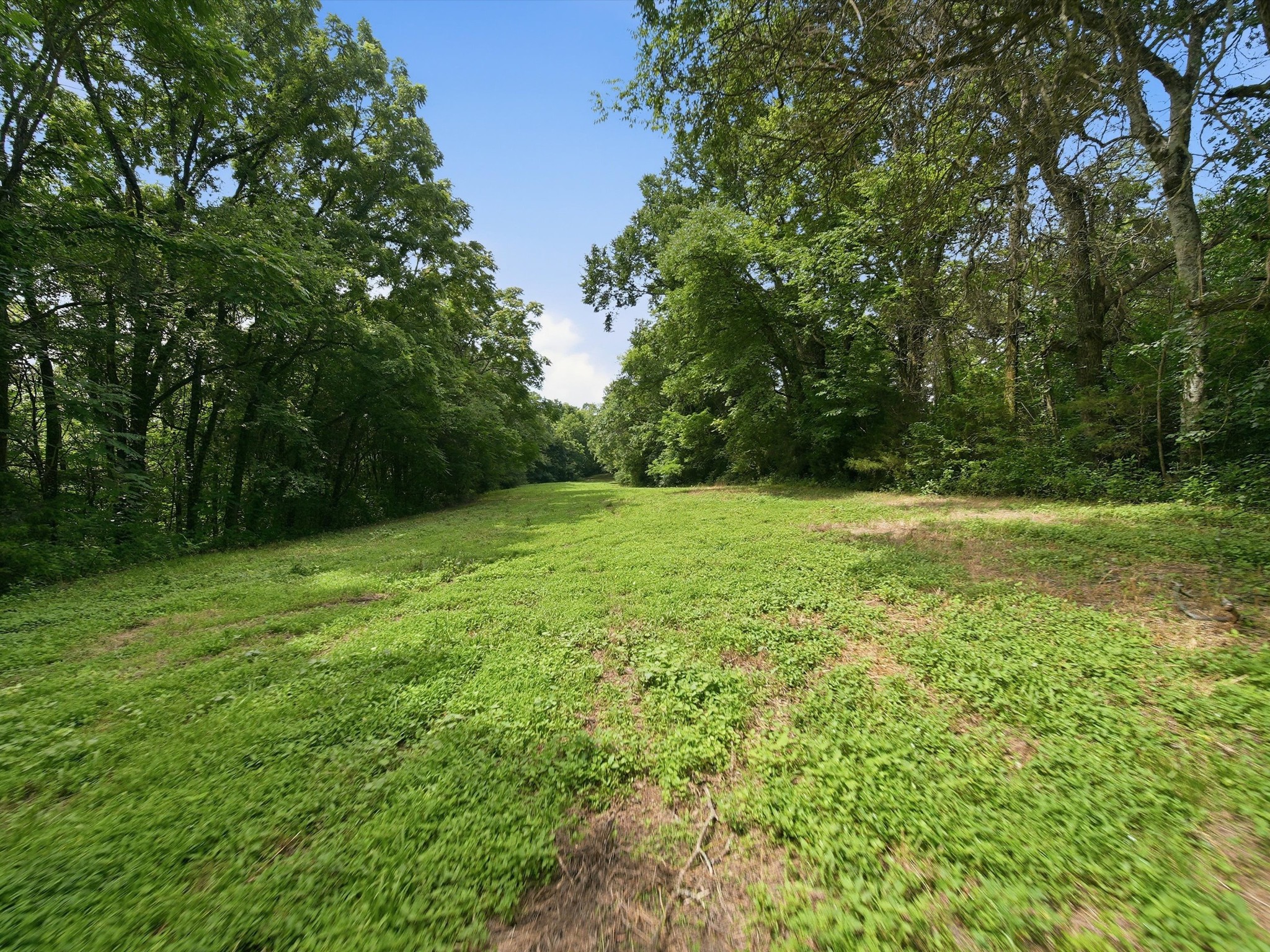 168 Sherfield Road Fayetteville, TN 37334 - Photo 51 of 63