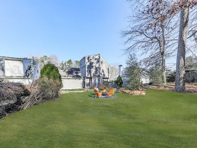 a view of a park with large trees