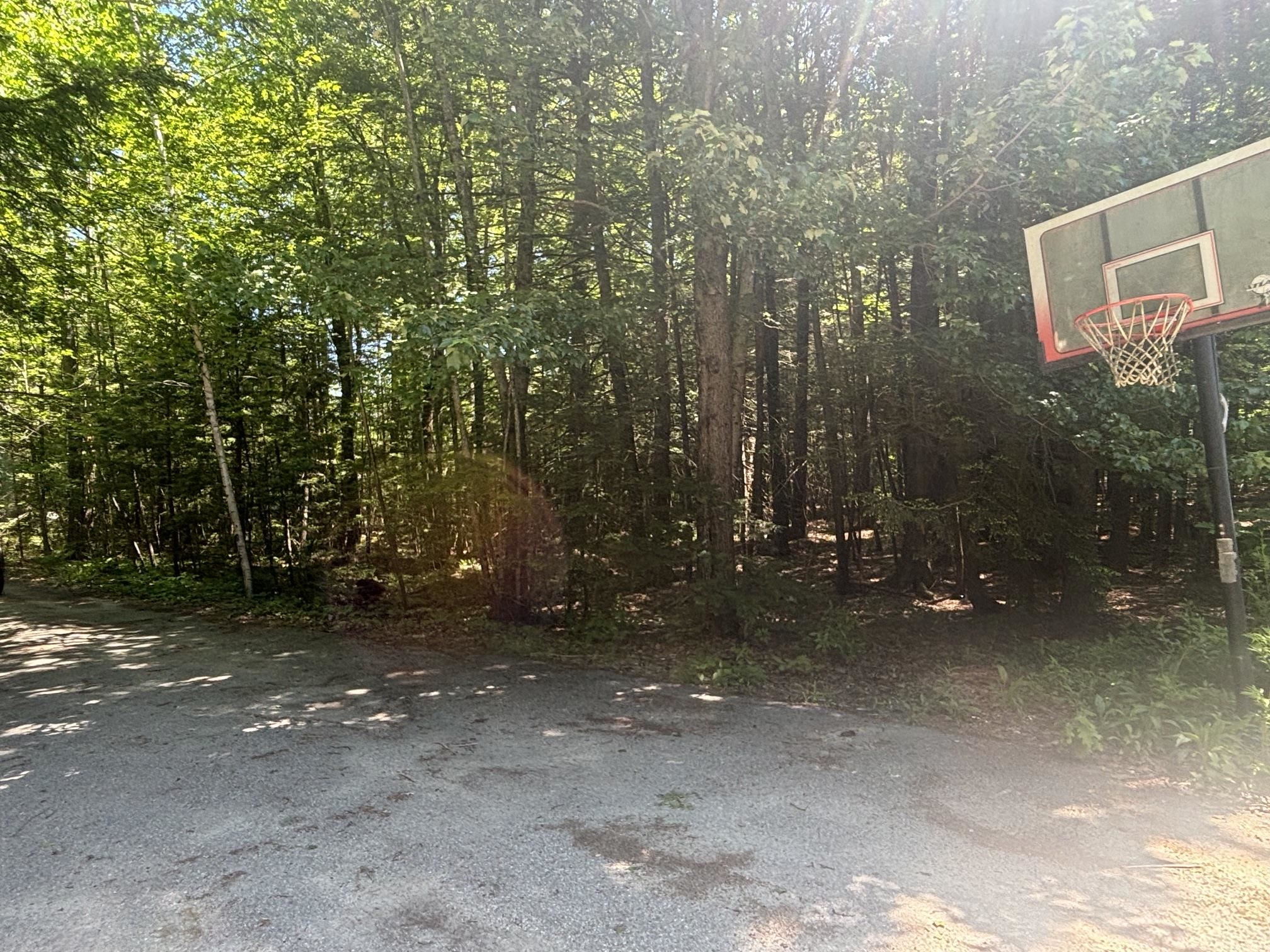 21 Albin Road Bow, NH 03304 - Photo 12 of 14