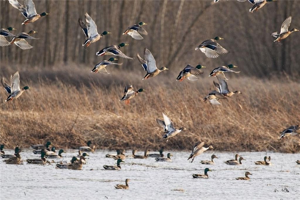 21195 Edgerton Junction Road Dearborn, MO 64439 - Photo 11 of 80