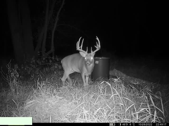 21195 Edgerton Junction Road Dearborn, MO 64439 - Photo 12 of 80