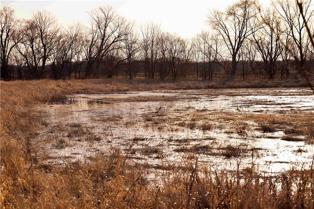 21195 Edgerton Junction Road Dearborn, MO 64439 - Photo 14 of 80