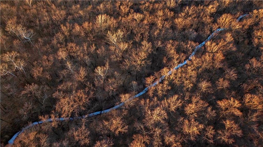 21195 Edgerton Junction Road Dearborn, MO 64439 - Photo 17 of 80