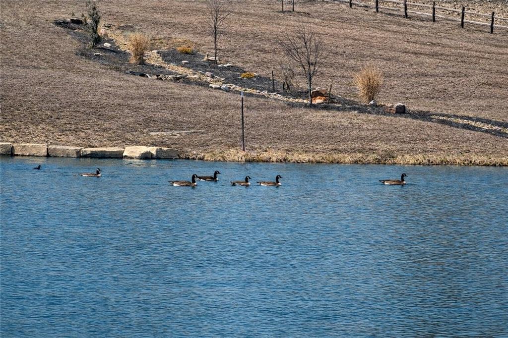 21195 Edgerton Junction Road Dearborn, MO 64439 - Photo 26 of 80