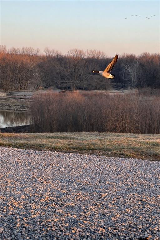 21195 Edgerton Junction Road Dearborn, MO 64439 - Photo 29 of 80