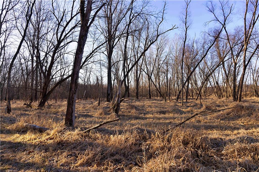 21195 Edgerton Junction Road Dearborn, MO 64439 - Photo 71 of 80