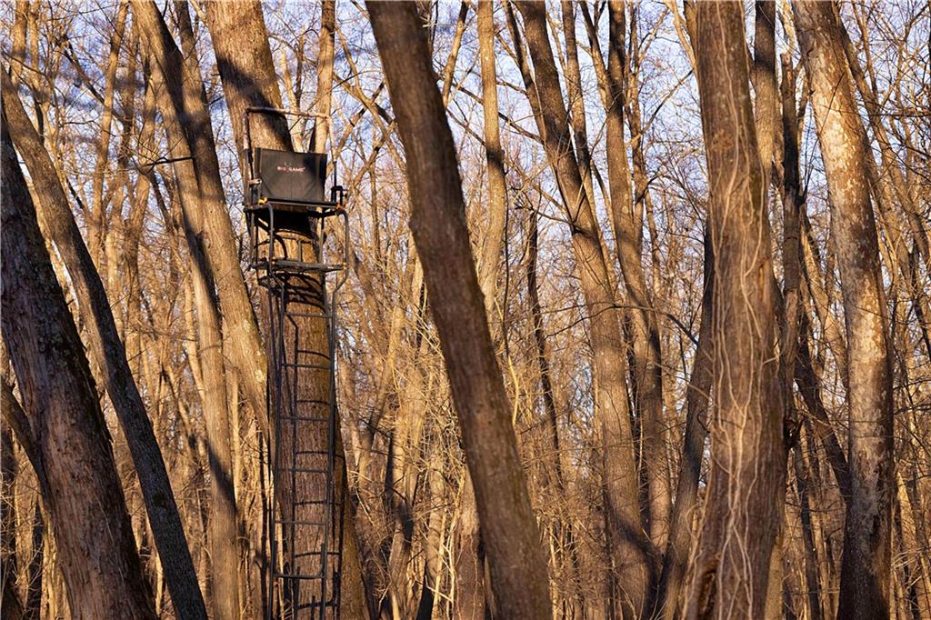 21195 Edgerton Junction Road Dearborn, MO 64439 - Photo 73 of 80