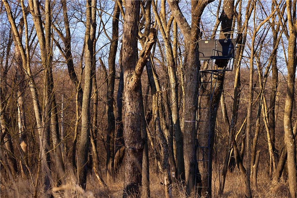 21195 Edgerton Junction Road Dearborn, MO 64439 - Photo 76 of 80