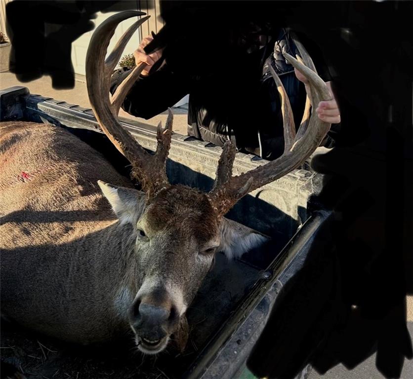 21195 Edgerton Junction Road Dearborn, MO 64439 - Photo 79 of 80