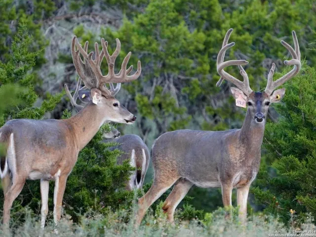 a view of a street with a building in the background