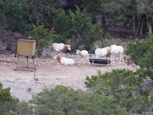 $2,299,999 | 3293 North Little Creek Road, Utopia, TX 78884