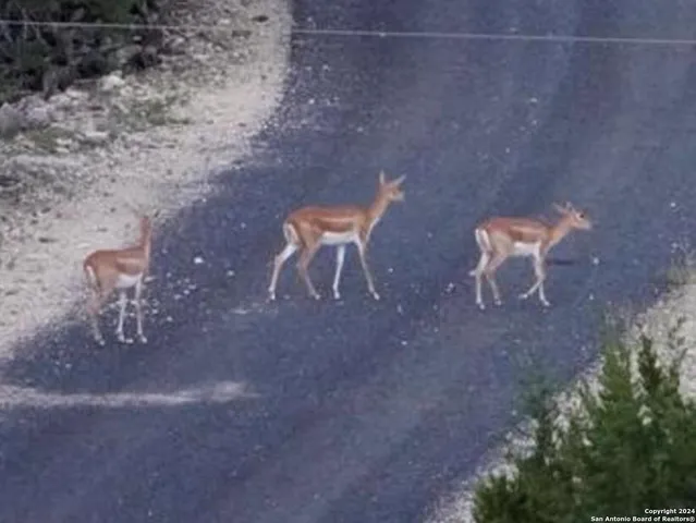 $2,299,999 | 3293 North Little Creek Road, Utopia, TX 78884