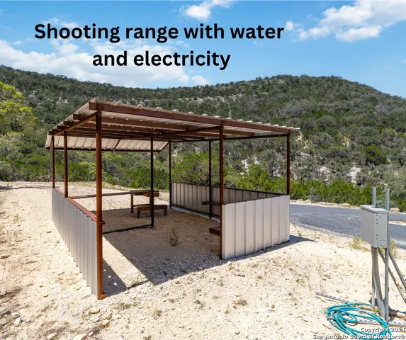 a view of a tree in a yard