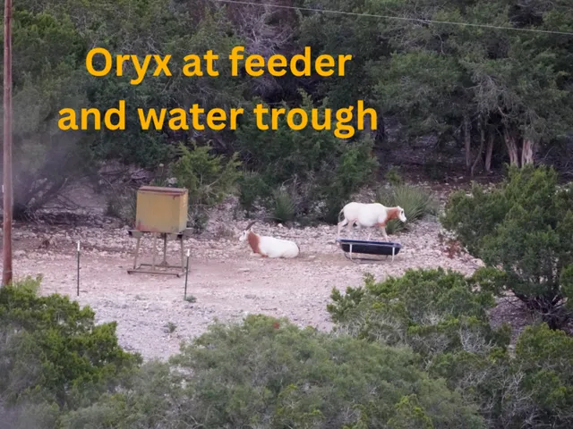 a view of a city with mountain