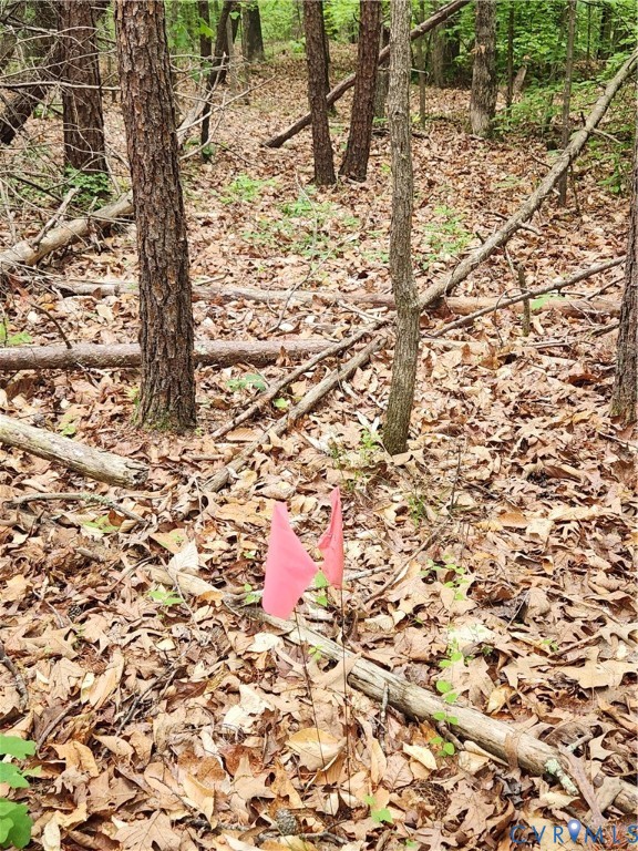 0 Bryants Ford Road Fork Union, VA 23055 - Photo 10 of 14 Indicates the proposed house corner. You can pick