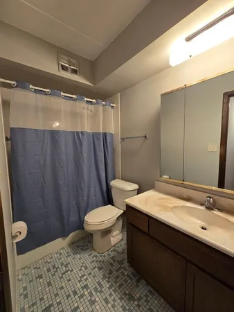 a bathroom with a sink a toilet a mirror and shower