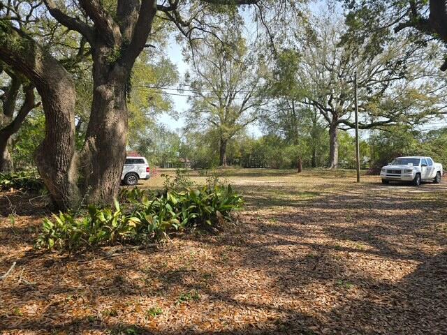 4643 Keyser Lane Pace, FL 32571 - Photo 2 of 14 a view of a yard with a tree