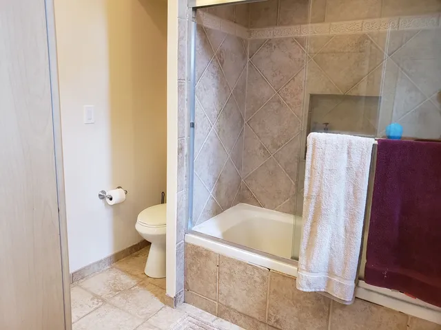 a bathroom with a shower and a toilet